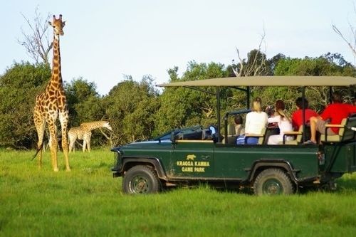 ホテル Kragga Kamma Game Park ポート・エリザベス エクステリア 写真
