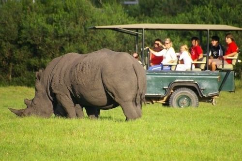 ホテル Kragga Kamma Game Park ポート・エリザベス エクステリア 写真