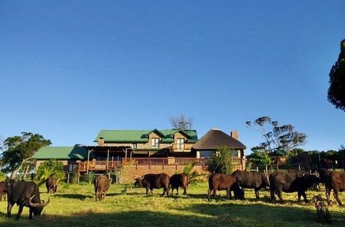 ホテル Kragga Kamma Game Park ポート・エリザベス エクステリア 写真